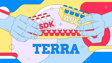 How to Use Terra