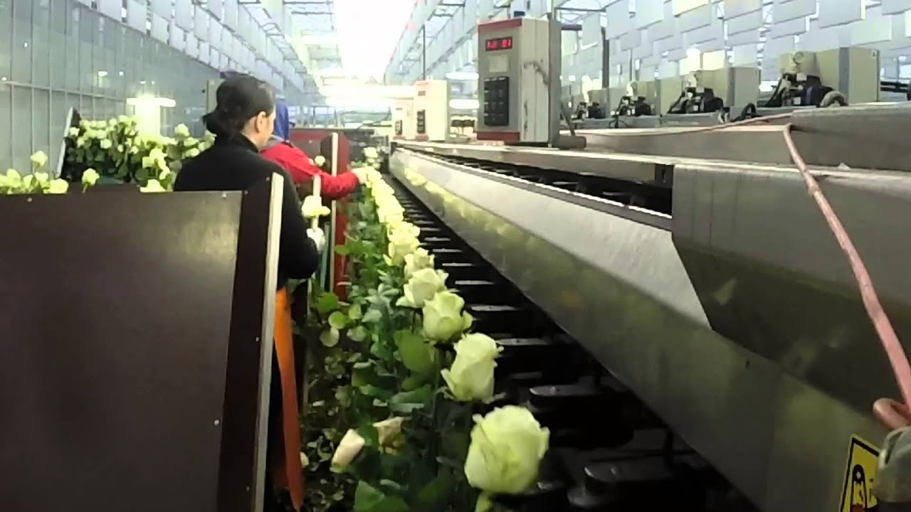 Bedrijfsfilm VOF JA van der Burg