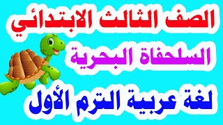 السلحفاة البحرية للصف الثالث الابتدائي لغة عربية الترم الاول منهج جديد حل تدريبات كتاب الوزارة كاملة