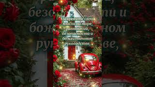 СЧАСТЬЕ #СпокойныйУм#ИстинноеСчастье#ДуховноеРазвитие#СилаМысли#ВнутреннийМир#PeacefulMind