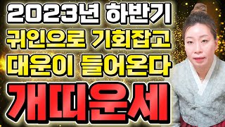 2023년 하반기 개띠운세귀인운으로 기회잡고 대운이 들어오는 개띠분들! 축하드려요! 계묘년 연말 개띠운세 5…