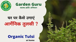 Grow Organic Tulsi at Home with Garden Gold | Garden Guru