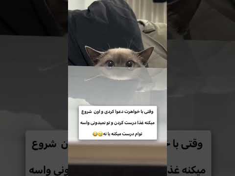 دقیقا این قیافه منه شما چی فان خنده خنده دار خندارترین فانباز