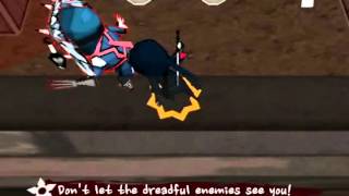Shadow ZIN: Ninja Boy