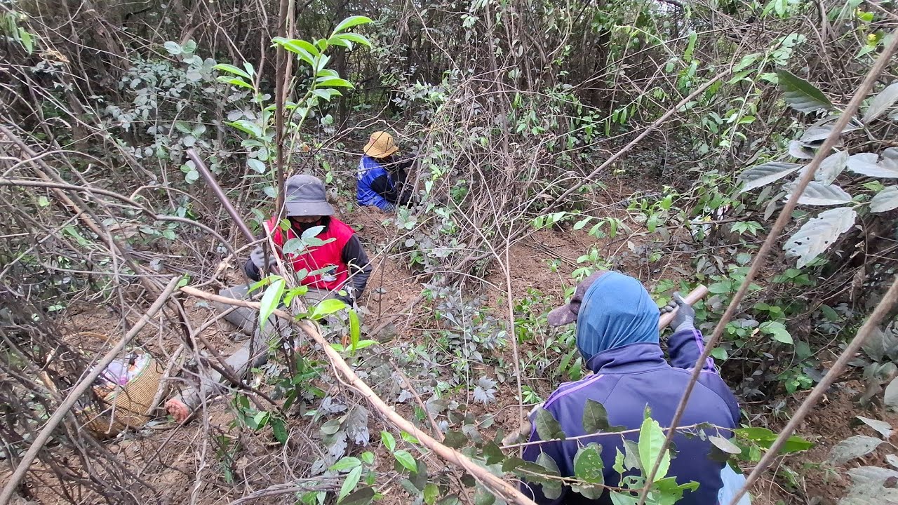ขุดมันแซงป่า🥔🥔🥔 บอกได้คำเดียวว่าทั้งสนุกทั้งฮา🤣🤣