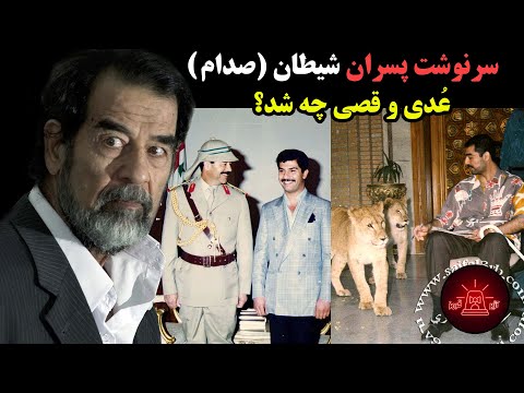 تصویری: 7 ستاره هالیوود با موهای زرق و برق دار که ظاهراً کلاه گیس بر سر دارند