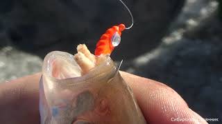 видео: Засолили заживо. Испытываем новый подледный подъёмник. картинка: Засолили заживо. Испытываем новый подледный подъёмник.