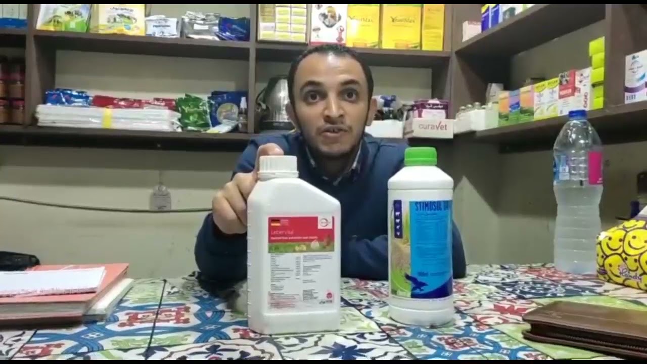 غسول ومنشط الكبد ومضاد السموم والفطريات فوائدهم واستخدامهم واسعارهم د. مصطفى محمود الأربعاء ٢٤نوفمبر