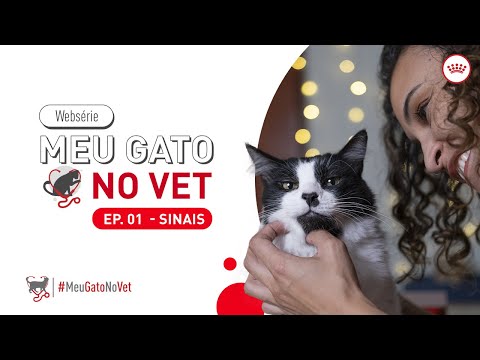 ROYAL CANIN® - Meu Gato no VET - Episódio 01: Sinais