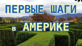 #196: Трудности переезда по Грин Карте в США. Первые шаги в Америке