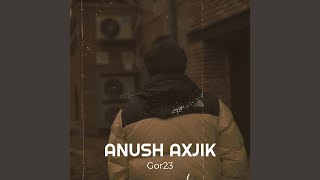 Video thumbnail of "Gor23 - Anush Axjik"