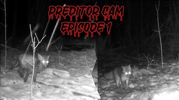 PREDATOR CAM ... CAMPARK T86 TRAIL CAMERA