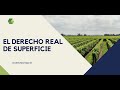 Derecho de Superficie