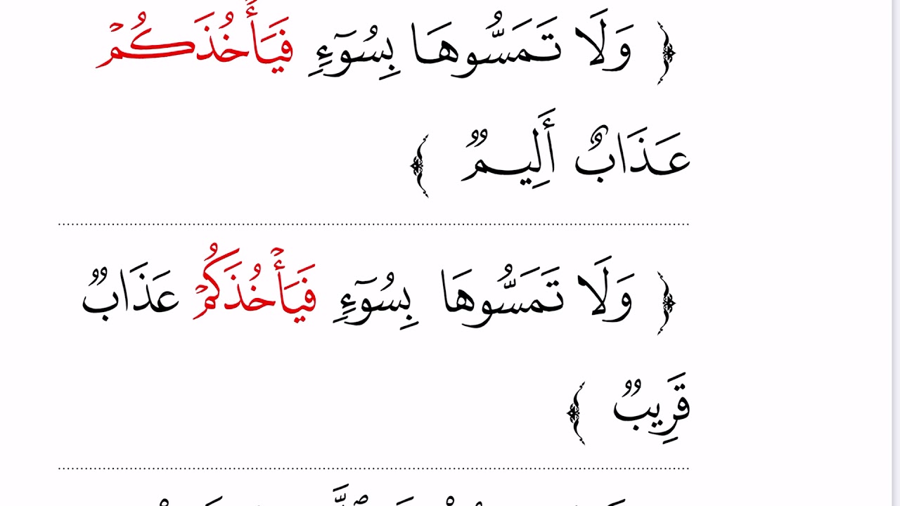 ٦٥. فاء السببية ونصب المضارع وأمثلة القرآن قدري محمد