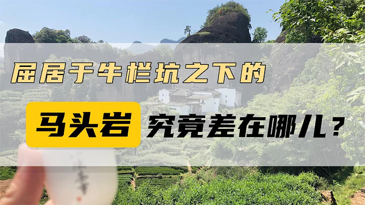 【小陳茶事】在武夷岩茶圈中，名氣屈居牛欄坑之下的馬頭岩，究竟差在哪兒？ - 天天要聞