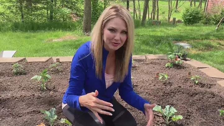 Ozarks FOX AM-Gardening with Cami-05/18/20