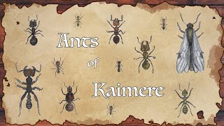 Ants of Kaimere