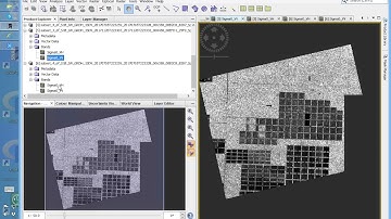 Sentinel-1 for Rainforest Monitoring - I Preprocessing