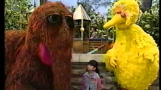 Sesame Street - Snuffy's Vacation