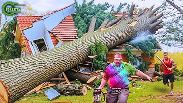 Gevaarlijke snelste idioten: boom kappen mislukt, vaardigheid met kettingzaag, boom valt op huize...