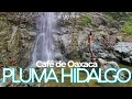 OAXACA - PLUMA HIDALGO |  PROBANDO EL MEJOR CAFÉ DE MÉXICO - TOUR DE CAFETALES Y CASCADA