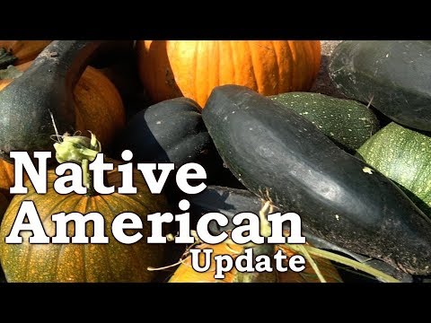 Native American Garden Final Update | Baker Creek Heirloom Seeds