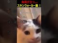 実際にとらえられた恐怖のスキンウォーカー映像!