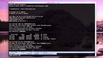 USB-Stick unter Linux im Terminal mounten