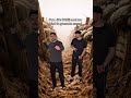 World War 3