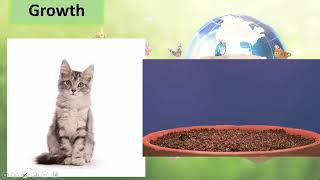 Science Grade 4 Chapter 1 Lecture 1 || SNC 2020 ||