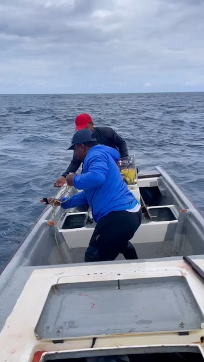 Mancing Ikan Tuna di Tengah Laut #shorts #mancing #mancingikan #tuna #mancingmania