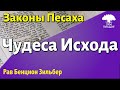 Заповеди в память о чудесах Исхода. Рав Бенцион Зильбер