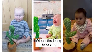 Funniest Babies Reacting To The Cactus Toy | TIKTOK Shorts