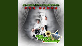 Entre Copa y Copa (Banda)