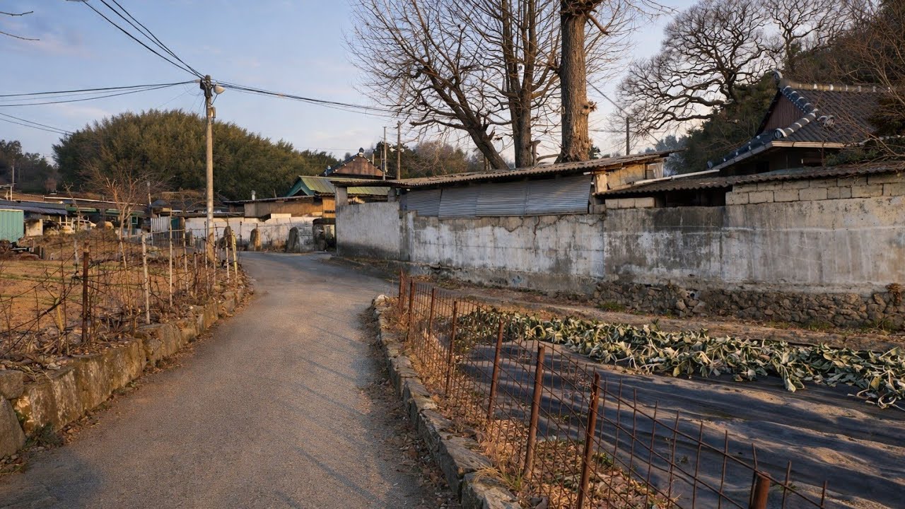 Slow Walk Through Korean Village to Boseong Town Center