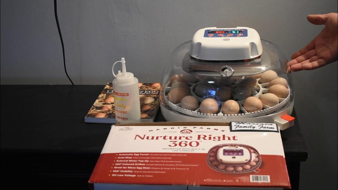 Nurture Right 360 Incubator with Built in Egg Candler YouTube