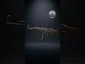 The StG 44 | World’s First True Assault Rifle, Developed by Germany During World War II. #shorts
