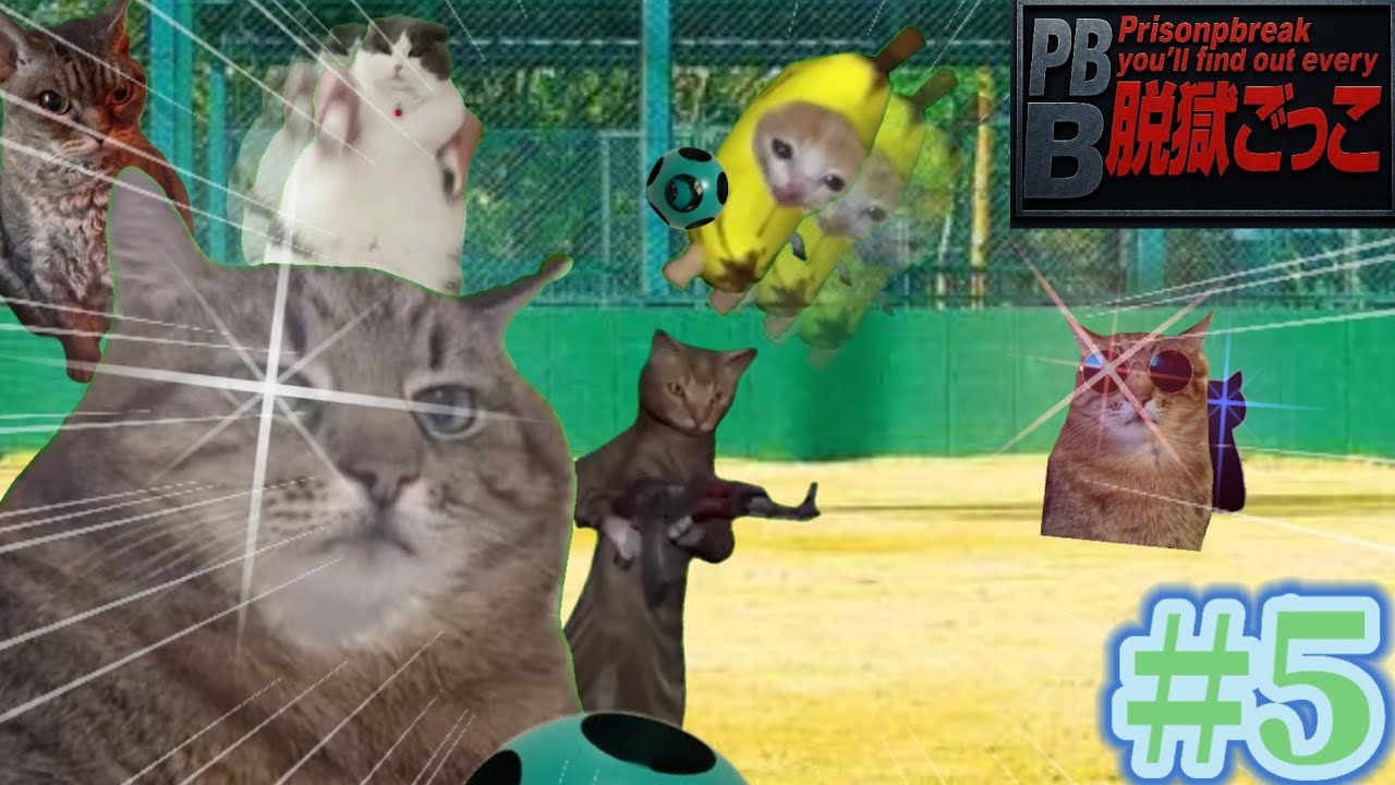 【猫ミーム】脱獄ごっこをすることになった猫たちの物語 第5話