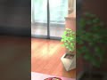 君はどの角度が好き?#shorts