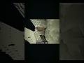 Senpai spider manhunt clutch #foryou #senpaispider #rexy #minecraft #minecraftshorts #edit #song