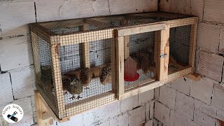 How to make a quail cage