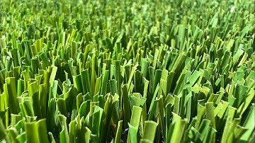 Xu hướng cỏ nhân tạo không cát không hạt #conhantao #cokhongcatkhonghat