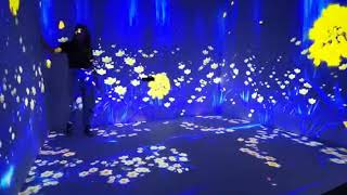 Large Interactive Wall Effects Preview4