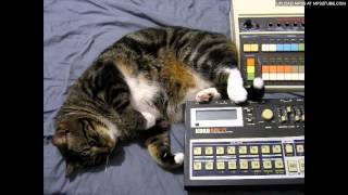 Roland CR-8000, Korg KPR-77, Yamaha FX900 feedback, function generators