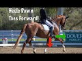 Dressage Rider Leg Position - Keep your Heels Down and Toes Forward