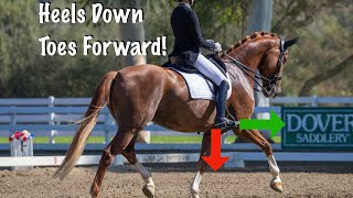 Dressage Rider Leg Position - Keep your Heels Down and Toes Forward