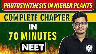 PHOTOSYNTHESIS IN HIGHER PLANTS in 70 minutes || Complete Chapter for NEET