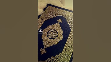 فلا تطع المكذبين #سورة_القلم