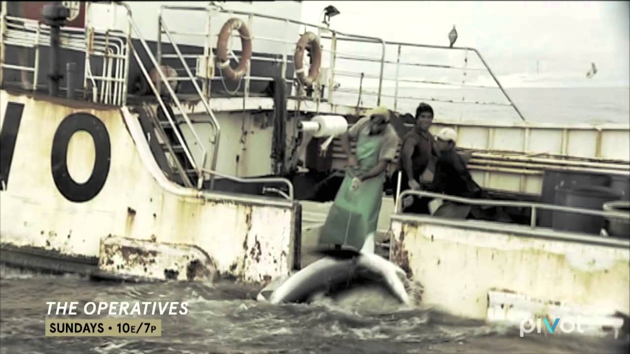 The Hammerhead Sharks of Cocos Island ('The Operatives' - S1, Episode 8 Clip)