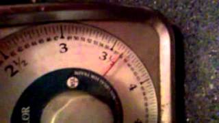 3 1/2lb. Possum